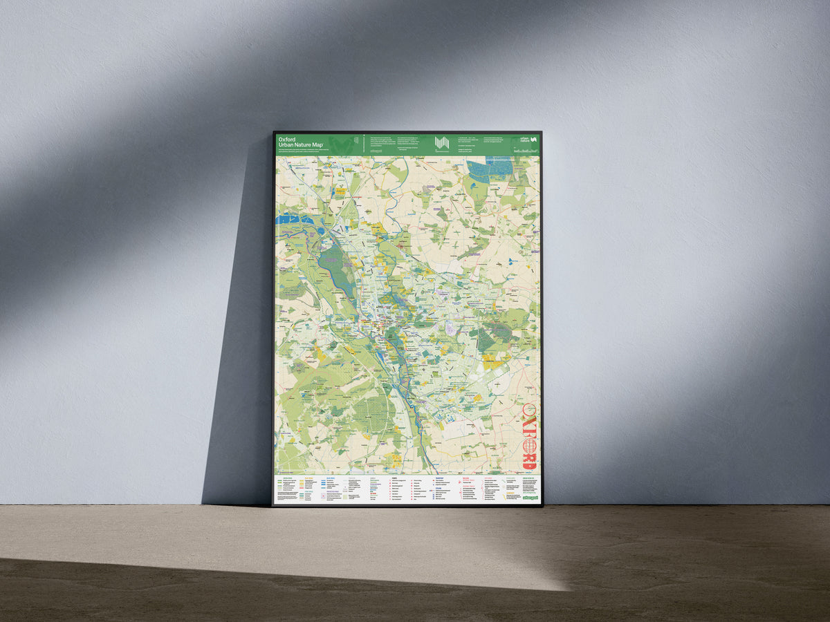 The flat poster version of Oxford Urban Nature map showing all the best walks across the city. Mocked up in a simple frame here.