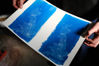 Slow Ways handmade cyanotypes