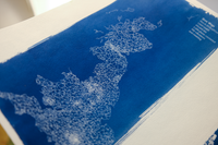 Slow Ways handmade cyanotypes